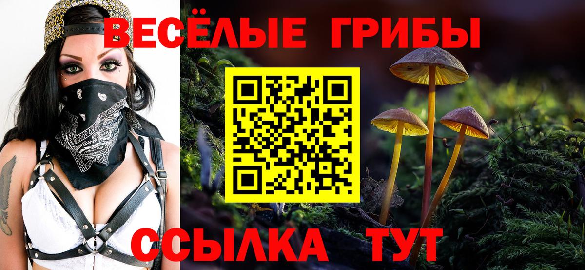 Галлюциногенные грибы ЛСД Иваново