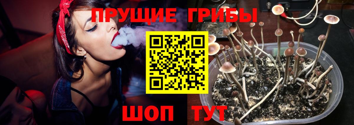 даркнет сайт  Вход с VPN  Иваново  Псилоцибиновые грибы мицелий 